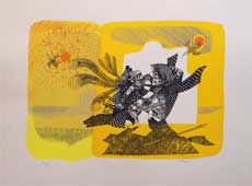 Ingrandisci immagine