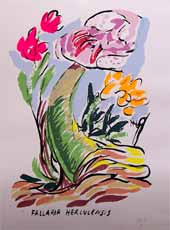 Ingrandisci immagine