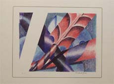 Ingrandisci immagine