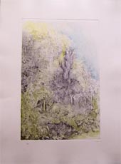 Piero&nbsp;Sbano, clicca per visualizzare le altre opere