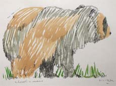 Ingrandisci immagine