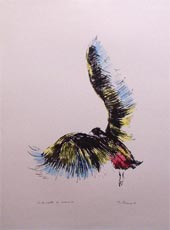 Ingrandisci immagine